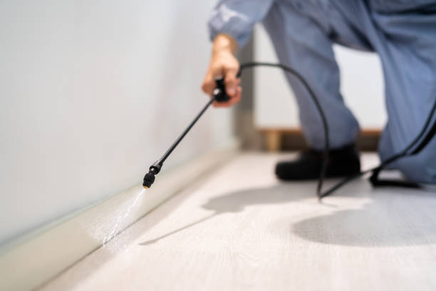 Licensed Rodent Control service in Harrison County County, IN - Nex Pest Control